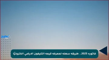فاتورة 2025.. طريقة سهلة لمعرفة قيمة التليفون الأرضي إلكترونيًا